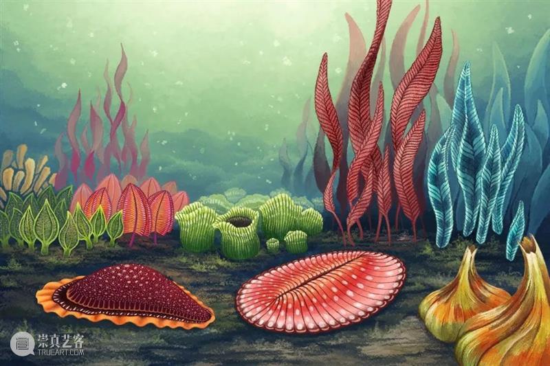 前寒武纪:地球最早的纪元,黎明前的漫漫长夜 地球 纪元 前寒武纪 黎明 漫漫长夜 史诗 古代 天圆地方 山海经 奇闻 崇真艺客