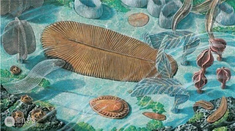 前寒武纪:地球最早的纪元,黎明前的漫漫长夜 地球 纪元 前寒武纪 黎明 漫漫长夜 史诗 古代 天圆地方 山海经 奇闻 崇真艺客