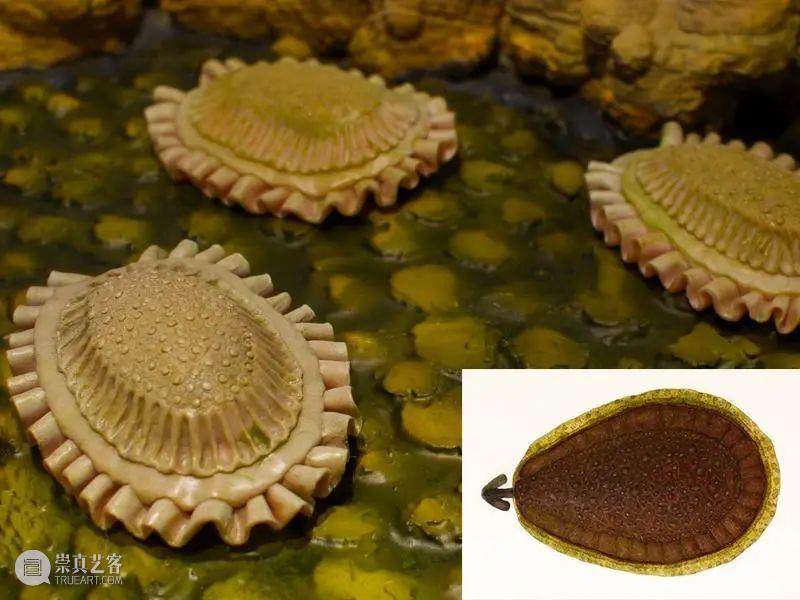 前寒武纪:地球最早的纪元,黎明前的漫漫长夜 地球 纪元 前寒武纪 黎明 漫漫长夜 史诗 古代 天圆地方 山海经 奇闻 崇真艺客