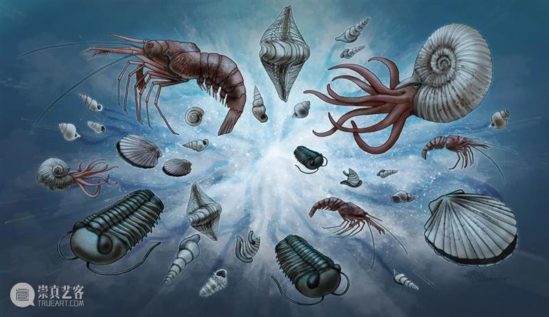 前寒武纪:地球最早的纪元,黎明前的漫漫长夜 地球 纪元 前寒武纪 黎明 漫漫长夜 史诗 古代 天圆地方 山海经 奇闻 崇真艺客