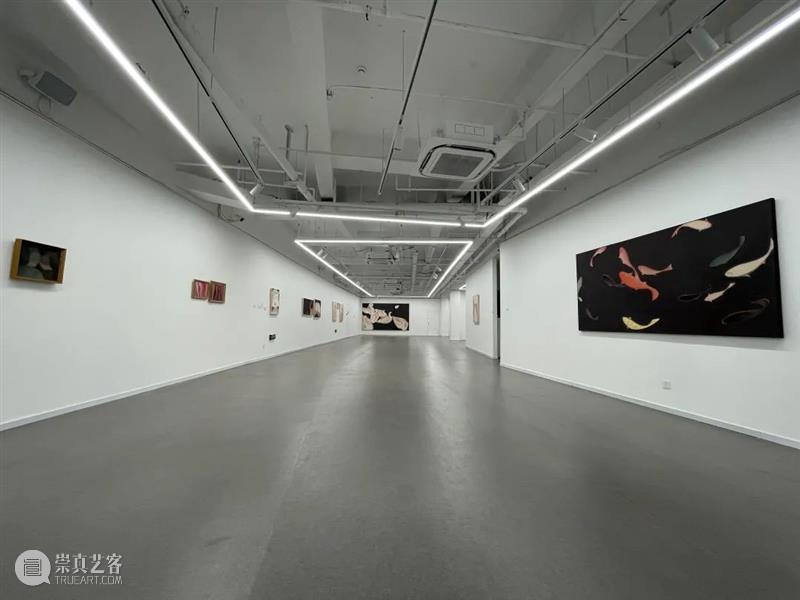 2021 美博美术馆 年度回顾 美博美术馆 年度 年关 艺术 力量 源泉 未来 生活 美学 新春佳节 崇真艺客