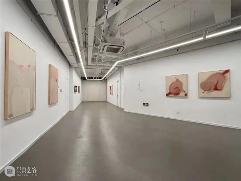 2021 美博美术馆 年度回顾 美博美术馆 年度 年关 艺术 力量 源泉 未来 生活 美学 新春佳节 崇真艺客