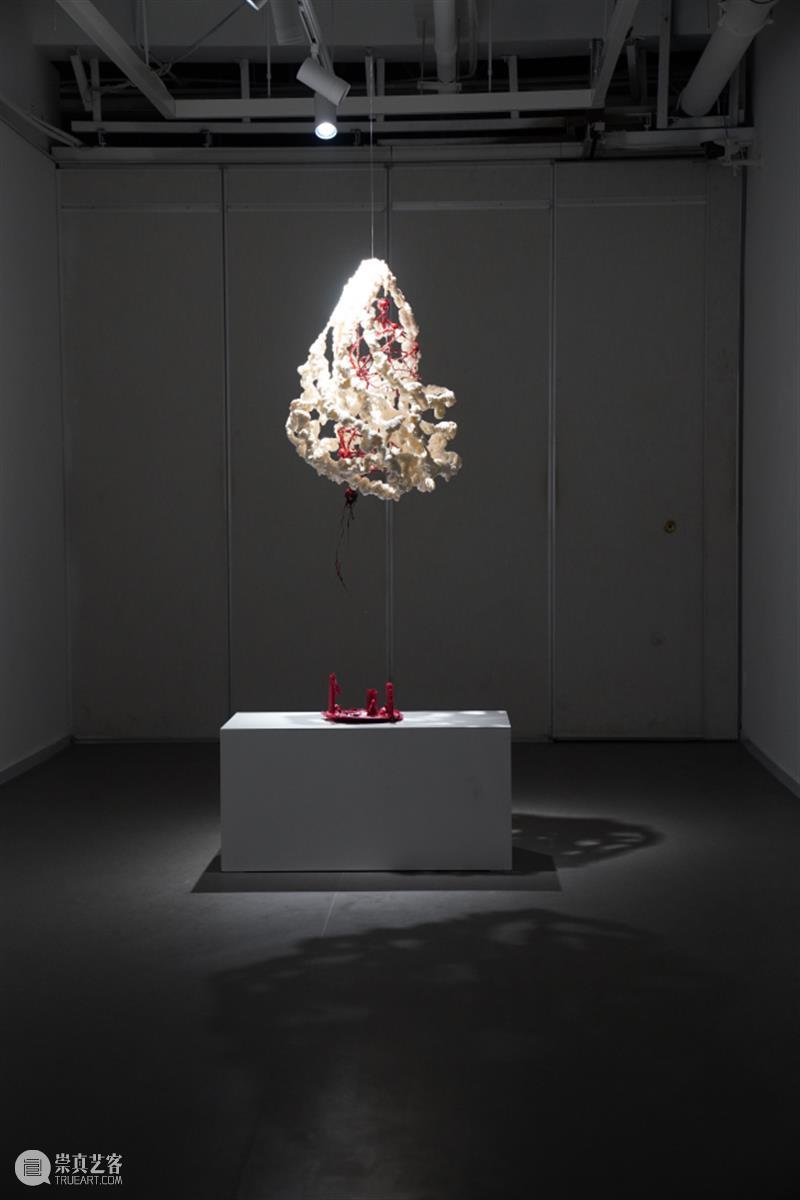 2021 美博美术馆 年度回顾 美博美术馆 年度 年关 艺术 力量 源泉 未来 生活 美学 新春佳节 崇真艺客