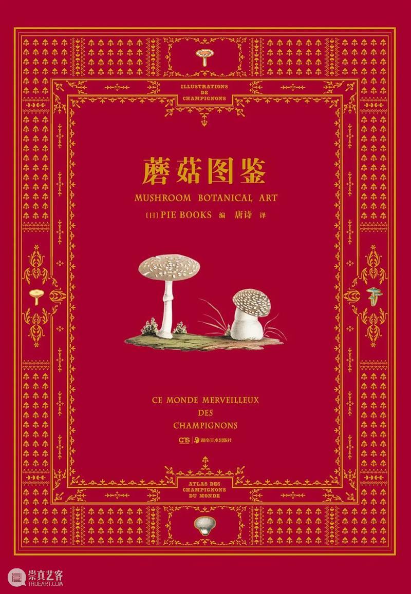 艺术在路上：30本书陪你过年 崇真艺客