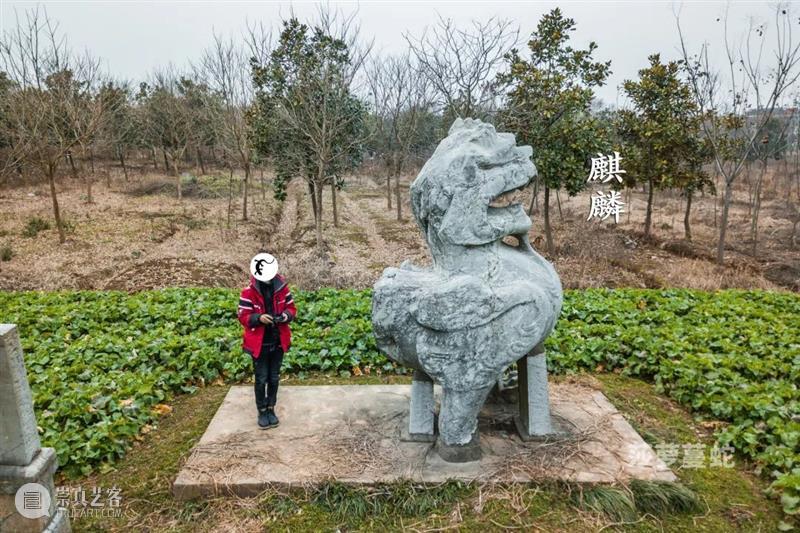 莎萝蔓蛇：《梁简文帝萧纲庄陵》航拍 莎萝蔓 航拍 梁简文帝萧纲庄陵 梁庄陵 江苏省镇江市 丹阳市 曲阿街道 荆林村三城村北 南朝梁简文帝 萧纲 崇真艺客