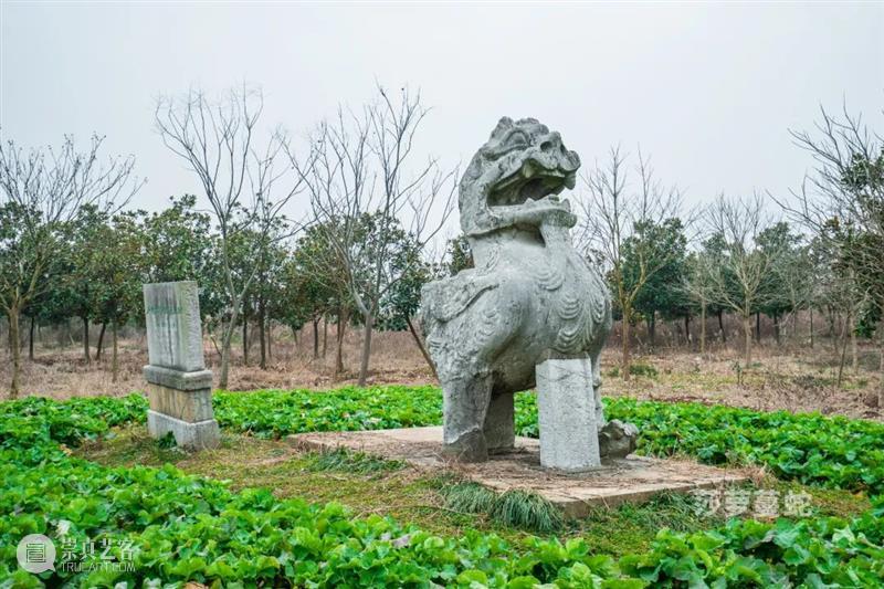 莎萝蔓蛇：《梁简文帝萧纲庄陵》航拍 莎萝蔓 航拍 梁简文帝萧纲庄陵 梁庄陵 江苏省镇江市 丹阳市 曲阿街道 荆林村三城村北 南朝梁简文帝 萧纲 崇真艺客