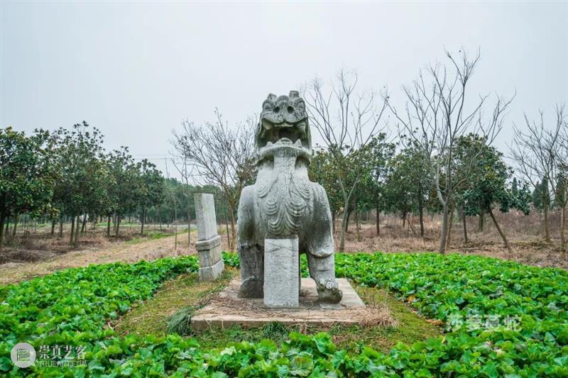 莎萝蔓蛇：《梁简文帝萧纲庄陵》航拍 莎萝蔓 航拍 梁简文帝萧纲庄陵 梁庄陵 江苏省镇江市 丹阳市 曲阿街道 荆林村三城村北 南朝梁简文帝 萧纲 崇真艺客