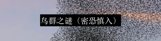 群体决策是如何误入歧途的 群体 决策 挑战者号 航天飞机 Boing 利维坦 电影 十二怒汉 Men 里面 崇真艺客