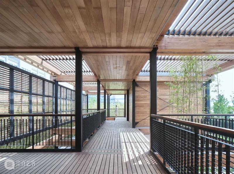 上海杨浦滨江人民城市建设展示馆,人人馆 / 同济原作设计工作室 人人馆 原作 工作室 上海杨浦滨江人民城市建设展示馆 同济 章鱼 北侧 混凝土 叠梁 杨浦 崇真艺客