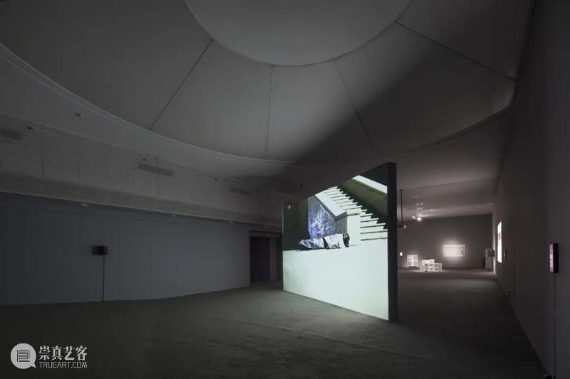 珠三角·全球南方·机构实践──专访广东时代美术馆学术副馆长蔡影茜 广东时代美术馆 蔡影茜 机构 珠三角 南方 全球 学术 馆长 ──专访 雷姆·库哈斯 崇真艺客