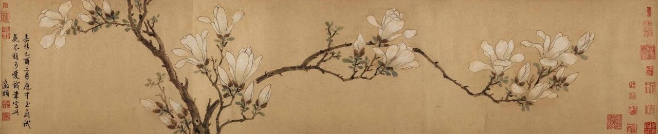 玉兰：一枝堪比玉，清雅随风来 玉兰 兰明 张茂 吴千花 素质 摇光 九畹始征兰 木兰科 早春 中国 崇真艺客