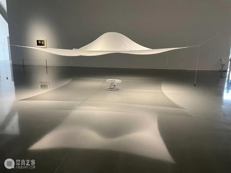 开年对话丨沈奇岚:打动我的总是那些与灵魂有关的作品和展览 开年 灵魂 作品 丨沈奇岚 artnet新闻中文网 农历 新春 传统 专栏 艺术 崇真艺客