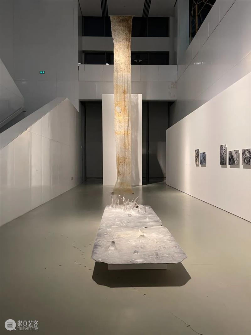 开年对话丨沈奇岚:打动我的总是那些与灵魂有关的作品和展览 开年 灵魂 作品 丨沈奇岚 artnet新闻中文网 农历 新春 传统 专栏 艺术 崇真艺客