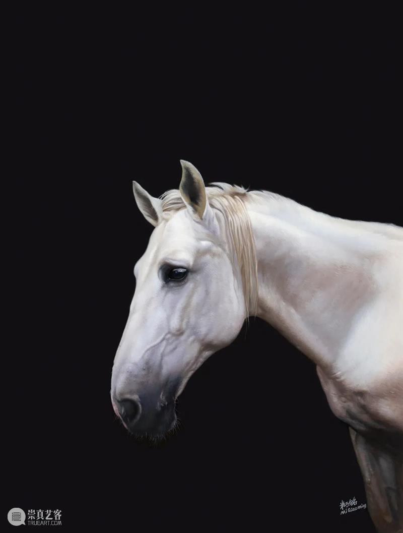 【展览预告】真美合一——大连市第三届女美术家作品展 大连市 美术家 作品展 真美 真美合一 主办单位 文化 中心 单位 大连市文化馆 崇真艺客