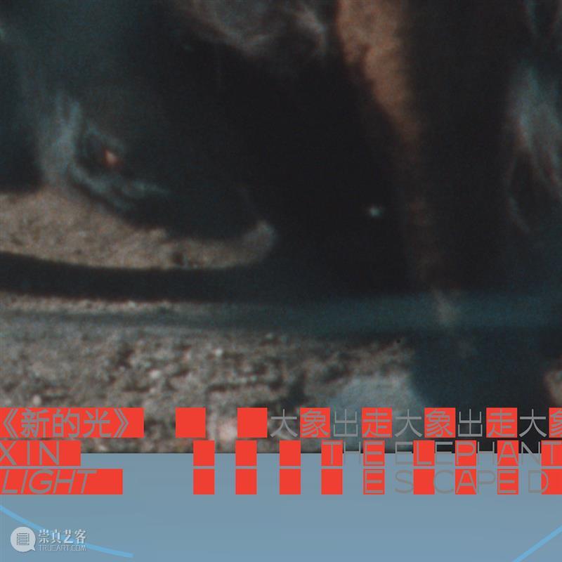 大象出走｜艺术家沈莘的口述：动物诗性 大象 艺术家 沈莘 动物 诗性 美凯龙艺术中心 开馆 时间 中国 方迪 崇真艺客