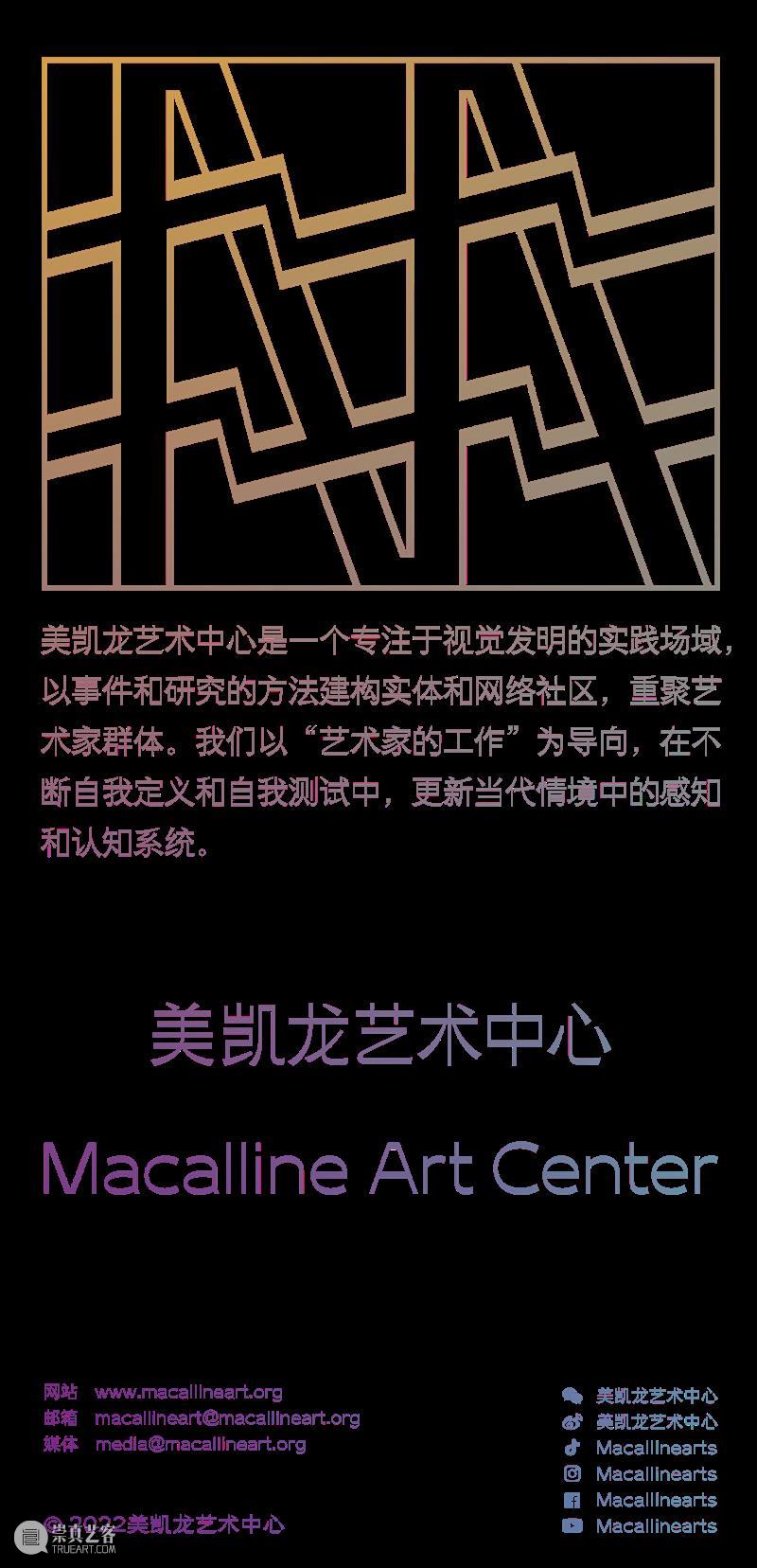 大象出走｜艺术家沈莘的口述：动物诗性 大象 艺术家 沈莘 动物 诗性 美凯龙艺术中心 开馆 时间 中国 方迪 崇真艺客