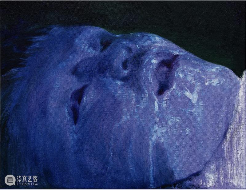 HdM 艺术家｜谢磊近期动态 谢磊 艺术家 HdM 近期 动态 安徽 淮南 中央美术学院 巴黎国立高等美术学院 巴黎高等师范学院 崇真艺客