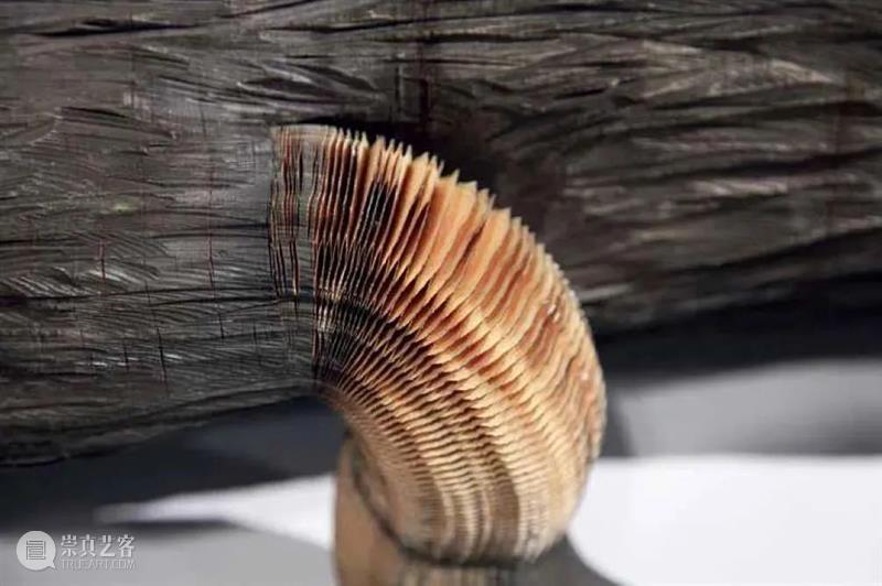 艺术家-李洪波 | 纸·见:中国当代纸艺术名家邀请展 中国 艺术名家 邀请展 艺术家 李洪波 上海市青浦区 练塘镇 金田路428号 美术馆 Hongbo 崇真艺客