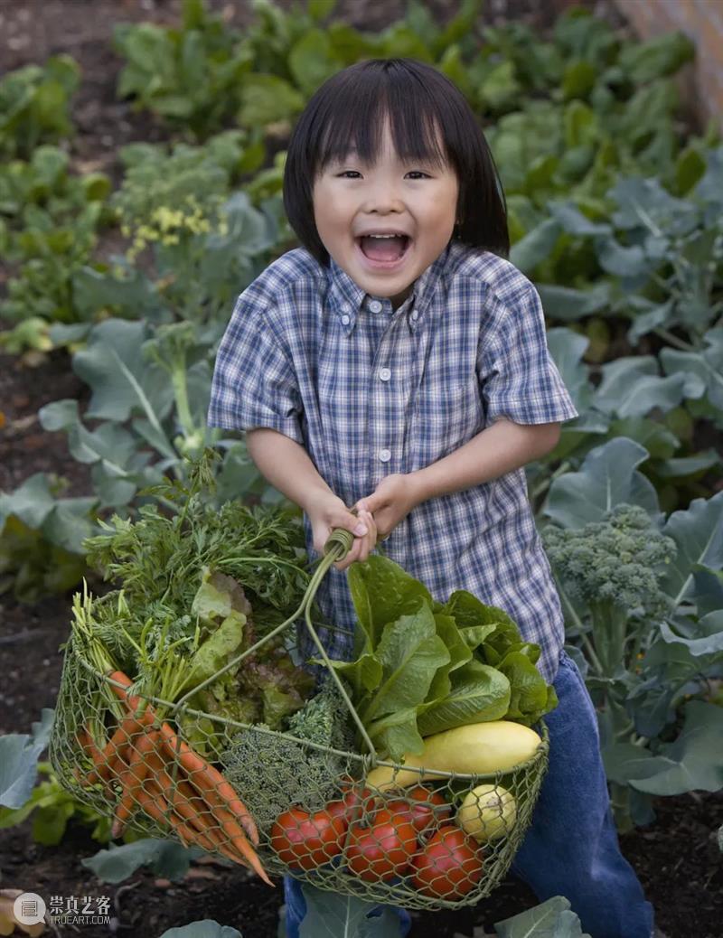 中国人血管里流淌着的都是“蔬菜汁” 中国 血管 蔬菜汁 血液 远古 蔬菜 荒漠 戈壁 雪域 高原 崇真艺客