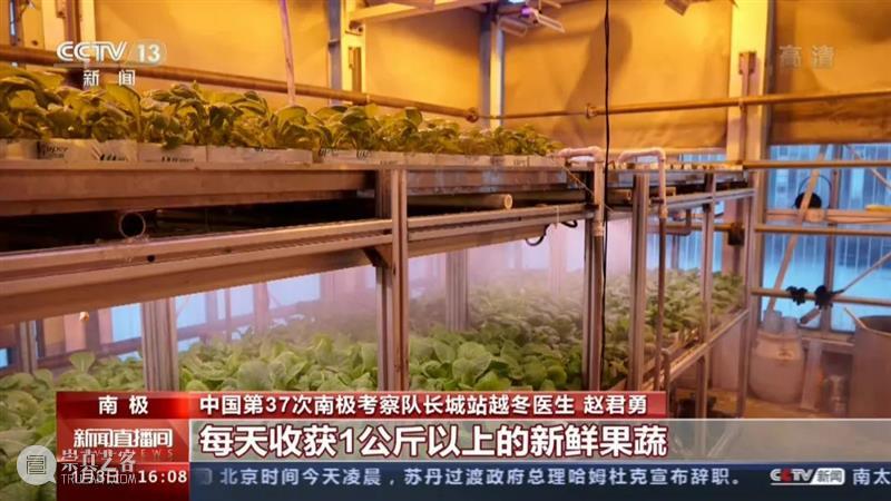 中国人血管里流淌着的都是“蔬菜汁” 中国 血管 蔬菜汁 血液 远古 蔬菜 荒漠 戈壁 雪域 高原 崇真艺客