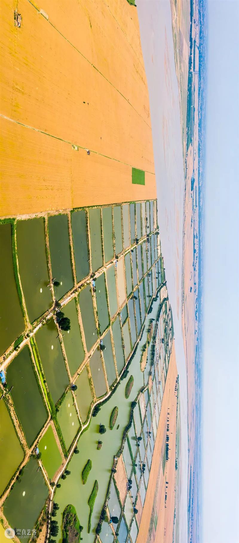 中国人血管里流淌着的都是“蔬菜汁” 中国 血管 蔬菜汁 血液 远古 蔬菜 荒漠 戈壁 雪域 高原 崇真艺客