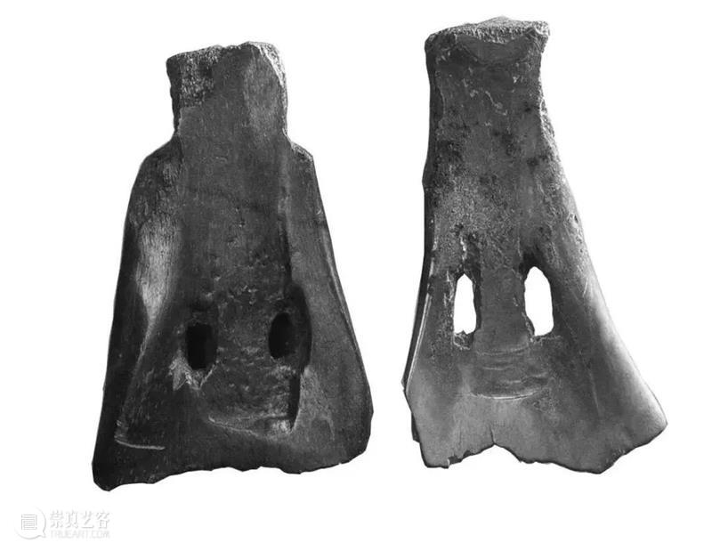 中国人血管里流淌着的都是“蔬菜汁” 中国 血管 蔬菜汁 血液 远古 蔬菜 荒漠 戈壁 雪域 高原 崇真艺客