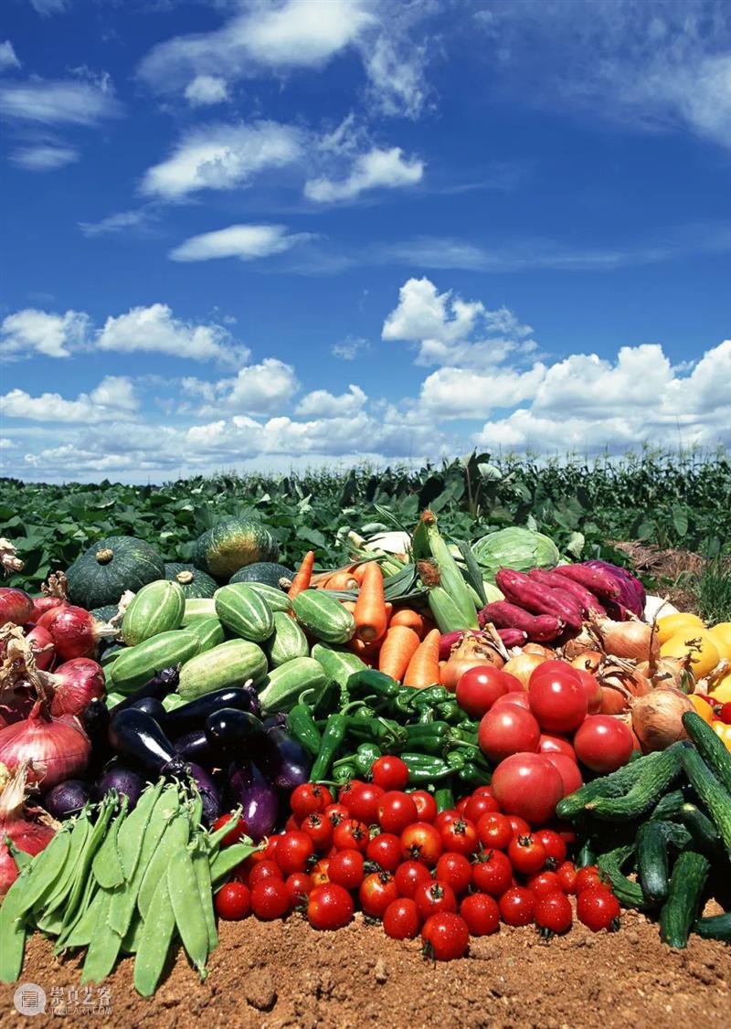 中国人血管里流淌着的都是“蔬菜汁” 中国 血管 蔬菜汁 血液 远古 蔬菜 荒漠 戈壁 雪域 高原 崇真艺客