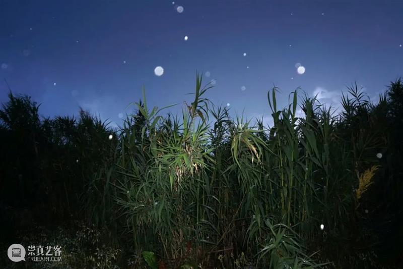 摄影｜Stavros Stamatiou：牧羊神的花园 Stamatiou 牧羊神 花园 上方 中国舞台美术学会 右上 星标 本文 希腊 摄影师 崇真艺客