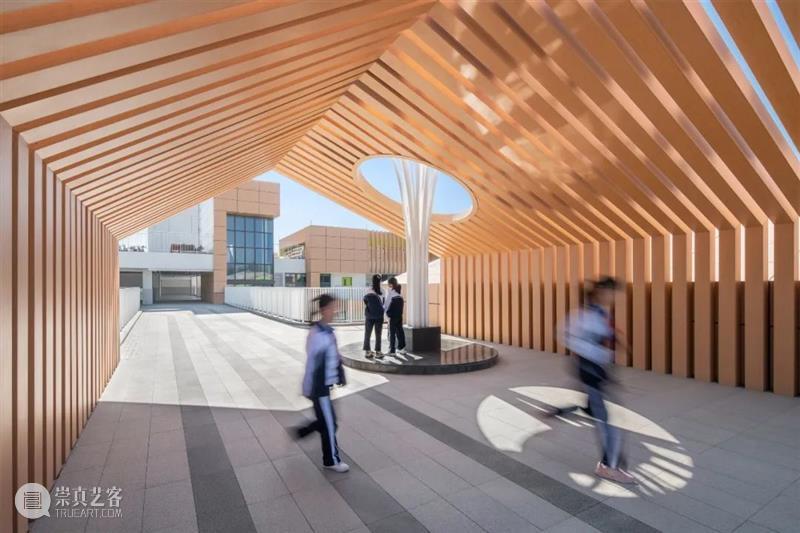 叠顶游园，深圳市坪山区东部湾区实验学校 / 申都设计 游园 深圳市坪山区东部湾区实验学校 屋顶 白羽 深圳 需求 土地 之间 矛盾 校园 崇真艺客