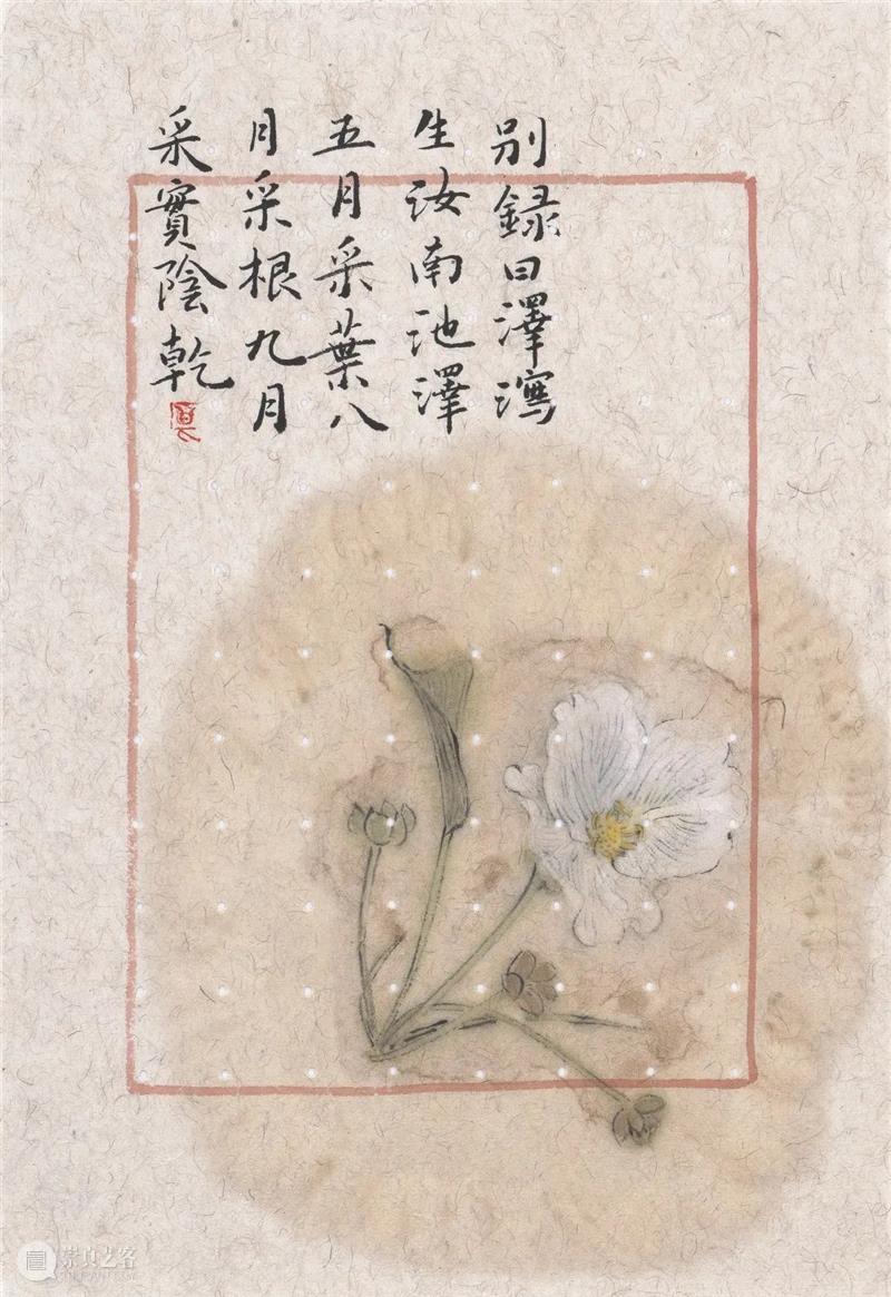 博物馆展览|章燕紫作品在新州艺术博物馆 新州 艺术 博物馆 章燕紫 作品 现场 新州艺术博物馆 展期 地址 澳洲 崇真艺客