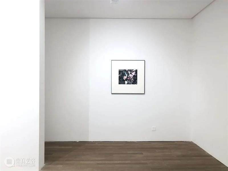 拾萬北京 | “奇想之春”展览现场 崇真艺客