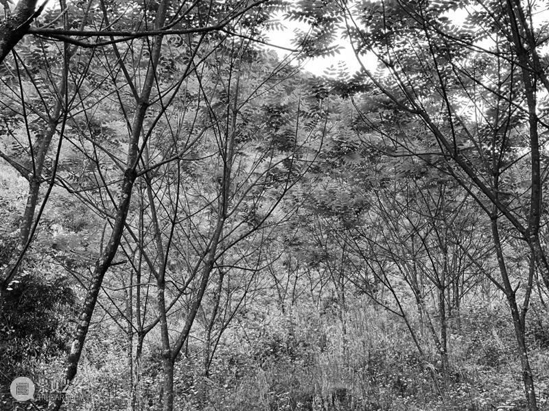 新颜丨璞素「留·光」系列当代漆艺家具首发丨2022 设计之春 漆艺 家具 系列 新颜丨璞素 中国家博会 广州 颜璞素 Time 0021日 Add 崇真艺客