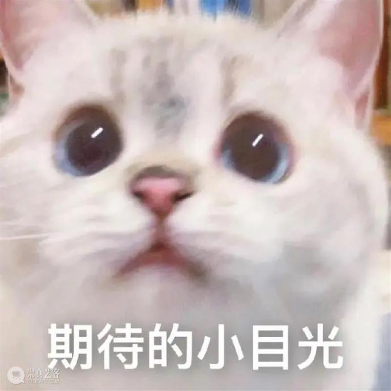 《珠峰队长》定档；华语惊悚片《灵语》发布预告 珠峰队长 华语 惊悚片 灵语 定档 预告 影视 好剧 小豆 资讯 崇真艺客