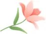 微风三月 花香四溢 | 回眸NCPA歌剧舞台上了不起的“她” 微风 花香 舞台 歌剧 NCPA 世界 玫瑰 日子 力量 女性 崇真艺客