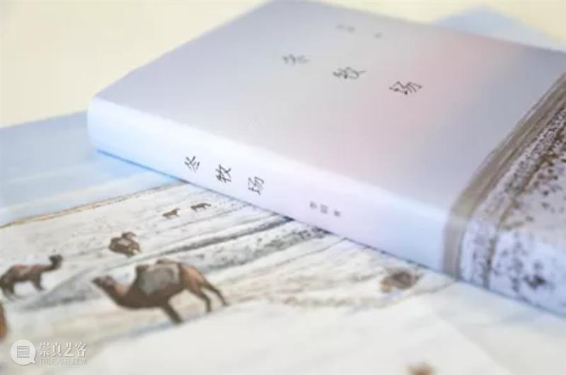 脚踏实地，从容舒展，我们始终关注与支持着她们  BCAF 崇真艺客