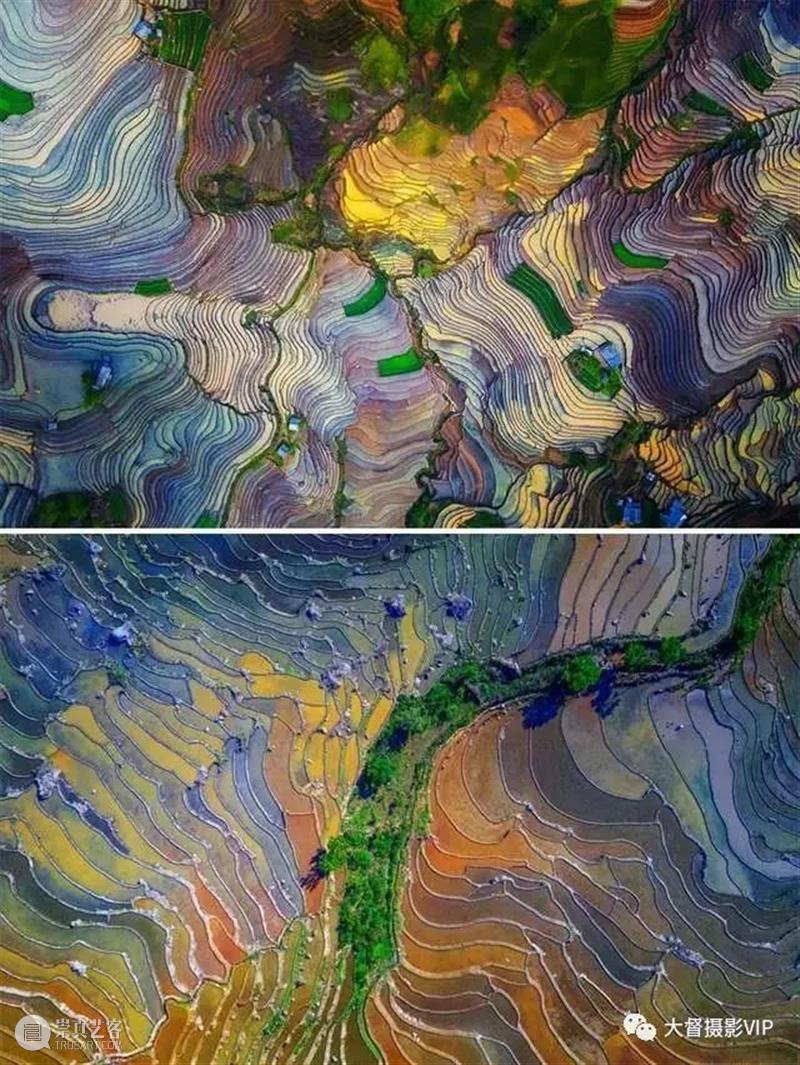 2021世界“无人机摄影奖”获奖作品欣赏 世界 无人机摄影奖 作品 挪威 摄影师 Kolaas 粉足雁 总冠军 照片 中部 崇真艺客