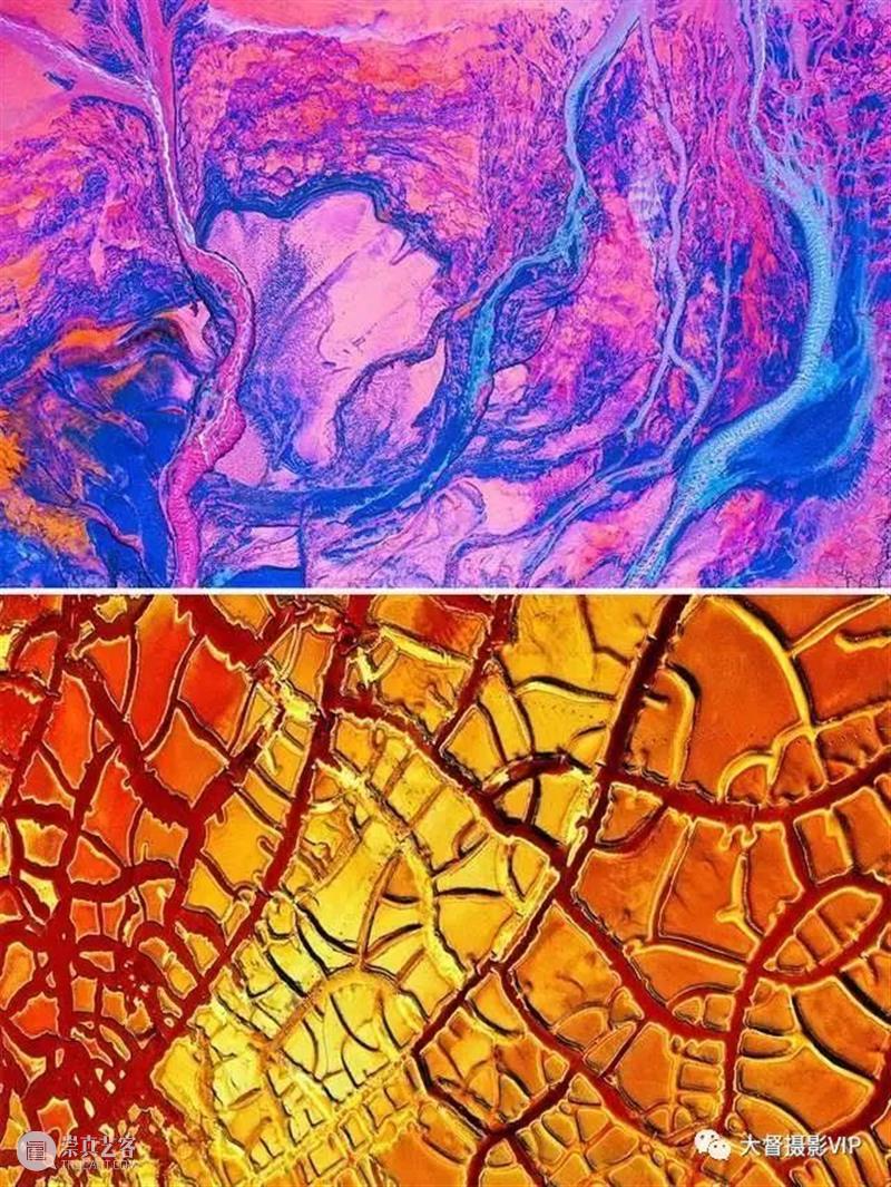 2021世界“无人机摄影奖”获奖作品欣赏 世界 无人机摄影奖 作品 挪威 摄影师 Kolaas 粉足雁 总冠军 照片 中部 崇真艺客