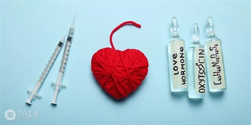 爱情是一种生物贿赂 爱情 生物 Magazine 利维坦 生活 核心 同性 友谊 婚姻 一文 崇真艺客