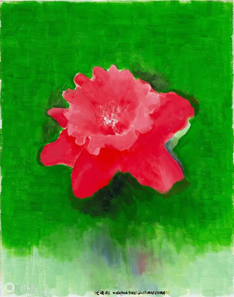 Xu Sheng: Shen Xiaotong’s painting Shen painting March May Museum West Bund Face much all 崇真艺客