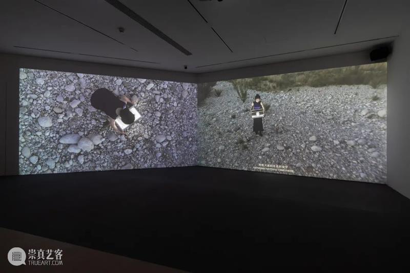 飞去来器——OCAT双年展·2021 | 刘昕：艺术家需要跟观众有生命痕迹的重合 飞去来器 OCAT双年展 艺术家 刘昕 观众 生命 痕迹 展期 作品 工作 崇真艺客