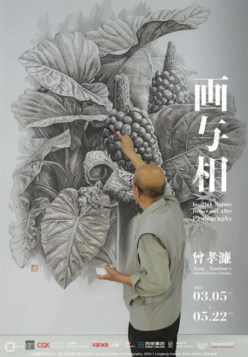 SCôP Exhibition | 卡尔.布劳斯菲尔德:我的摄影应当对重建人与自然关系有所贡献 卡尔 布劳斯 菲尔德 人与自然 关系 Blossfeldt 柏林 皇家 艺术 学会 崇真艺客