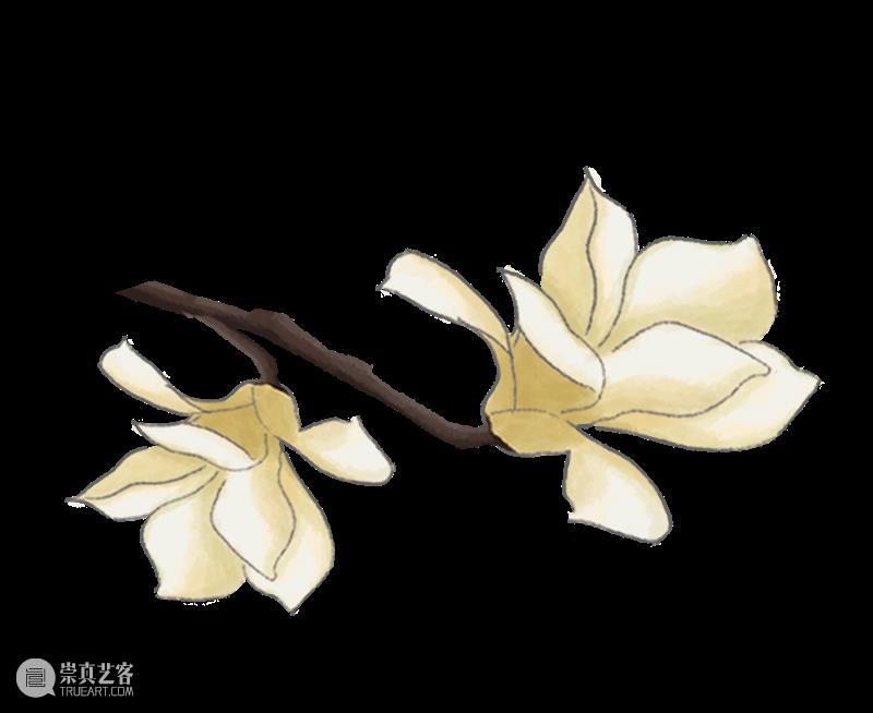 北京保利拍卖丨如此高花白于雪 年年偏是斗风开 北京保利拍卖 于雪 净若清荷尘 白云美 微风 栏杆 玉兰 早春 白花 古时 崇真艺客