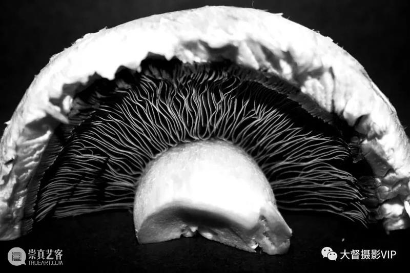 大画幅摄影大师：爱德华·韦斯顿传世摄影名作 爱德华·韦斯顿 大师 大画幅摄影 名作 相机 作品 摄影史 天才 人体 艺术家 崇真艺客