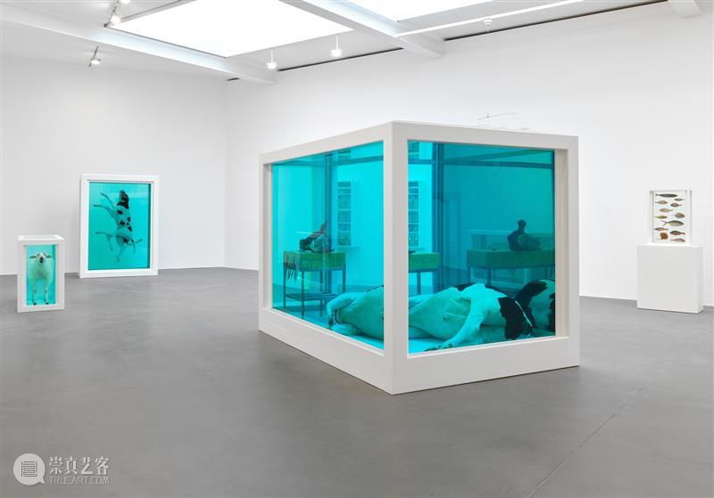 高古轩伦敦推出Damien Hirst个展「自然历史」，首次集中呈现这一标志性系列 伦敦 自然 历史 Damien Hirst 标志性 个展 高古轩 系列 DACS 崇真艺客