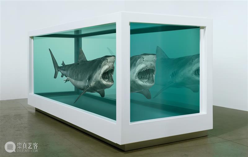 高古轩伦敦推出Damien Hirst个展「自然历史」，首次集中呈现这一标志性系列 伦敦 自然 历史 Damien Hirst 标志性 个展 高古轩 系列 DACS 崇真艺客
