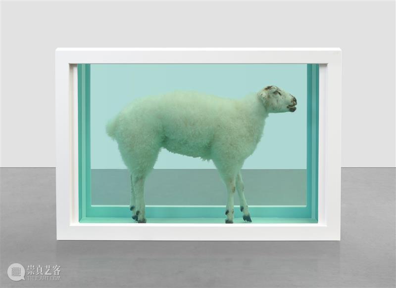 高古轩伦敦推出Damien Hirst个展「自然历史」，首次集中呈现这一标志性系列 伦敦 自然 历史 Damien Hirst 标志性 个展 高古轩 系列 DACS 崇真艺客