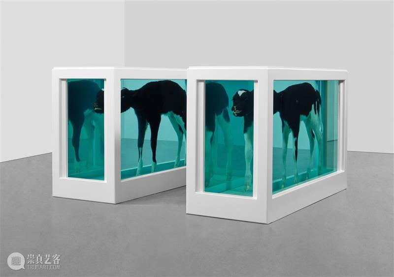 高古轩伦敦推出Damien Hirst个展「自然历史」，首次集中呈现这一标志性系列 伦敦 自然 历史 Damien Hirst 标志性 个展 高古轩 系列 DACS 崇真艺客