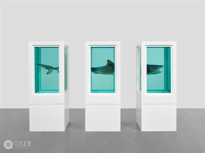 高古轩伦敦推出Damien Hirst个展「自然历史」，首次集中呈现这一标志性系列 伦敦 自然 历史 Damien Hirst 标志性 个展 高古轩 系列 DACS 崇真艺客