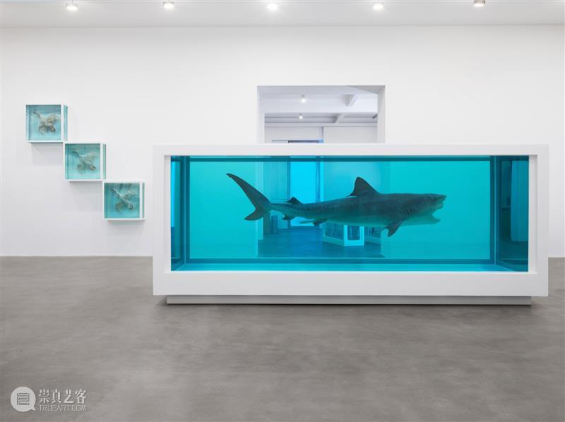 高古轩伦敦推出Damien Hirst个展「自然历史」,首次集中呈现这一标志性系列 伦敦 自然 历史 Damien Hirst 标志性 个展 高古轩 系列 DACS 崇真艺客