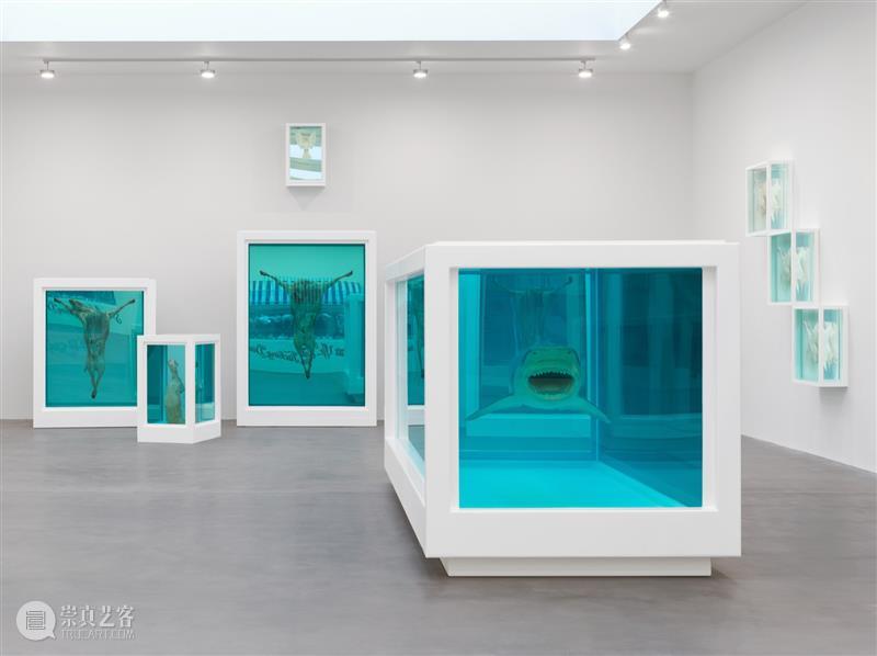 高古轩伦敦推出Damien Hirst个展「自然历史」,首次集中呈现这一标志性系列 伦敦 自然 历史 Damien Hirst 标志性 个展 高古轩 系列 DACS 崇真艺客